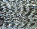 Παύλος, Θάλασσα, 1998, χαρτί αφίσας σε πλεξιγκλάς, 103 x 132 εκ.