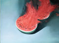 Costas Tsoclis, Flaming watermelon, 1987, painting on canvas, 150 x 300 cm