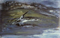 Vasso Kyriaki, Dark bird, 1988, acrylic on wood, 81.5 x 118 cm