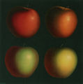 Ηλίας Δεκουλάκος, Super fruit, 1972, enamel, 130 x 130 εκ.