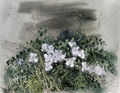 Γιώργος Βαρλάμος, Η κάππαρη, 1981, ακρυλικό σε μουσαμά, 76 x 102 εκ.