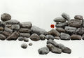 Σωτήρης Σόρογκας, Παπαρούνα σε πέτρες, 1970, ακρυλικό σε μουσαμά, 70 x 100 εκ.