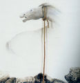 Σωτήρης Σόρογκας, Άλογο, 1974, ακρυλικό, κάρβουνο και σχοινί σε μουσαμά, τρίτο μέρος τρίπτυχου, 150 x 150 εκ.