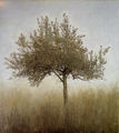 Christos Bokoros, Olive tree, 1992, oil on canvas, 200 x 180 cm