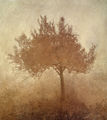 Christos Bokoros, Olive tree, 1992, mixed media on canvas, 200 x 180 cm