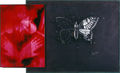 Pantelis Chandris, Ι, 1997, video still and chalk drawing on blackboard 170 x 285 cm