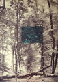 Βαλέριος Καλούτσης, Δάσος 1, σειρά Naturmatic, Παρίσι1976, φωτογραφία, ακρυλικό σε ξύλο, 100 x 79 εκ.