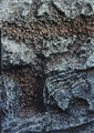 Βαλέριος Καλούτσης, Διάβρωση 9, 1994, μικτή τεχνική, 90 x 70 εκ.