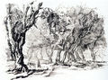 Nikolaos Ventouras, Olive grove in Corfu, 1937, ink drawing