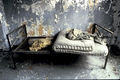 Eleni Mylonas, Gray Bed, 1984, from the Journey through Ellis Island photograph series, Cibachrome print, 115 x 150 cm, the photograph is part of the Ellis Island Museum permanent collection