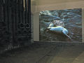 Εleni Mylonas, The Lamb of God, 2007, single channel video with sound, installed at Gazi during the 1st Athens Biennale "Destroy Athens"