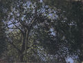 Χρύσα Βέργη, Κυττώντας προς τα πάνω, 1993, μικτά υλικά, 150 x 200 εκ.