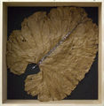 Κωστής (Τριανταφύλλου), Αναλαμπή, 1999-2003, φύλλο, ηλεκτρονικός κεραυνός και αγώγιμα στοιχεία μέσα σε ξύλινη κατασκευή, 80 χ 80 εκ.