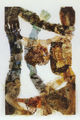 Chryssa Romanos, Image, 1982, decollage on plexiglas, 200 x 132 cm