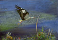 Yannis Migadis, Heron, 2001, acrylic on cardboard, 32 x 40 cm