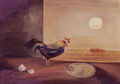Yannis Migadis, Rooster, 2005, acrylic on cardboard, 50 x 70 cm