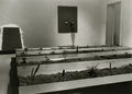 Γιάννης Κουνέλλης, Χωρίς τίτλο, 1969, εγκατάσταση στην Galleria l΄Attico, Ρώμη (Φωτ.: Claudio Abate)