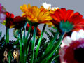 Despina Meimaroglou, Les fleurs du mal, 2004-2006, digital print