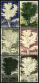 Markos Kampanis, Variations on a tree by Poussin, 2011, monotypes, 76 x 36 cm