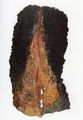 Μάγδα Σιάμκουρη, Επίτοιχο IIΙ, 1991, μικτά υλικά, 66 x 34 εκ.