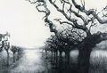 Μάγδα Σιάμκουρη, Φανταστικό τοπίο, 1988, pointe seche, 40 x 59 εκ.