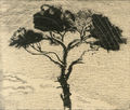 Tonia Nikolaidi, Pine tree in Vouliagmeni, 1947-48, woodcut, 14.5 x 18.3 cm