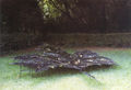 Αφροδίτη Λίτη, Φύλλο, 1984, μέταλλο, σμάλτο, καθρέφτης, 500 x 450 x 80 εκ., Εθνικός Κήπος