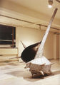 Αφροδίτη Λίτη, Παράκτιο τοπίο, 2000, άποψη της έκθεσης, Αίθουσα Τέχνης Αθηνών