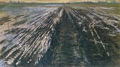 Irini Iliopoulou, Rice fields, 1991, oil on canvas, 100 x 180 cm