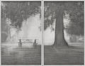 Γιώργος Αυγέρος, Hidden Creek, 2012, κάρβουνο σε διαφάνεια, 146 x 187 εκ.