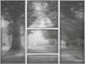 Γιώργος Αυγέρος, Hidden Creek, 2011, κάρβουνο σε διαφάνεια, 170 x 220 εκ.