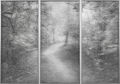 Γιώργος Αυγέρος, Hidden Creek, 2013, κάρβουνο σε διαφάνεια, 189 x 264 εκ.