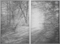 Γιώργος Αυγέρος, Hidden Creek, 2013, κάρβουνο σε διαφάνεια, 138 x 93 εκ.