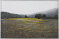 Γιώργος Αυγέρος, Κράπη, 2013, λάδια, κάρβουνο σε διαφάνεια, 103 x 154 εκ.