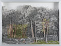 Γιώργος Αυγέρος, Δάσος, 2016, λάδια σε διαφάνεια, 54 x 71 εκ.