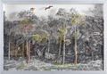 Γιώργος Αυγέρος, Δάσος, 2016, λάδια σε διαφάνεια, 49 x 71 εκ.