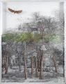 Γιώργος Αυγέρος, Δάσος, 2016, λάδια σε διαφάνεια, 119,5 x 93 εκ.