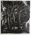 Koula Bekiari, Attic landscape (Pine trees), 1949, woodcut, 34.8 x 30 cm