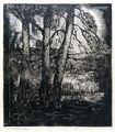 Koula Bekiari, Forest - Pine trees and sea), 1950, woodcut, 22.3 x 19.8 cm