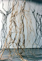 Annita Argyroiliopoulou, Installation, 1993, mixed media (wire, wicker, shadow)