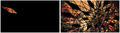 Δημήτρης Φουτρής, 24 black squares and 1 colour (after Rubens), 2000, ψηφιακή εκτύπωση, δίπτυχο, 127 x 230 εκ. έκαστο