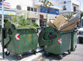 Martha Dimitropoulou, Big green, 2004, garbage container, plants, installation at the city of Volos, Greece