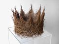 Martha Dimitropoulou, Crown, 2009, pine needles, 30 x 30 x 25 cm