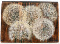 Titika Salla, Chicory - Dandelion IΙ, 1999, painting on wood, 24 x 34 cm