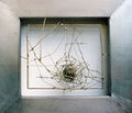 Varvara Spyrouli, Untitled, 1999, wire construction, 31 x 31 cm