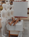 Γρηγόρης Σεμιτέκολο, Κοσμικό Ανατομείο, 1974, περφόρμανς, κούκλες από πολυεστέρα