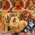 Γιάννης Παπαγιάννης, Τα σκυλάκια απ΄το Θιβέτ, 2003, λάδι σε μουσαμά, 85 x 85 εκ.