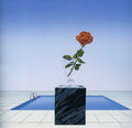Achilleas Droungas, Rose and swmming pool, 1975, silkscreen, 80 x 70 cm