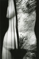 Lizzie Calliga, Metamorphoses, 1985-1990, silverprint