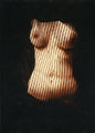 Lizzie Calligas,Metamorphoses, 1990. cibachrome photograph, 148 x 98 cm